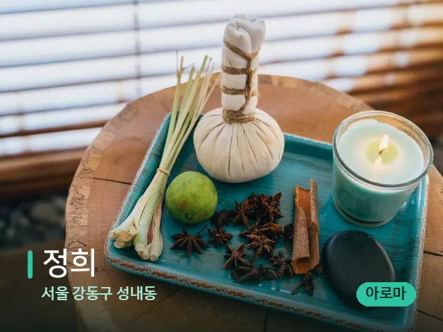 서울 강동구 성내동 정희 — 스파 마사지 베드